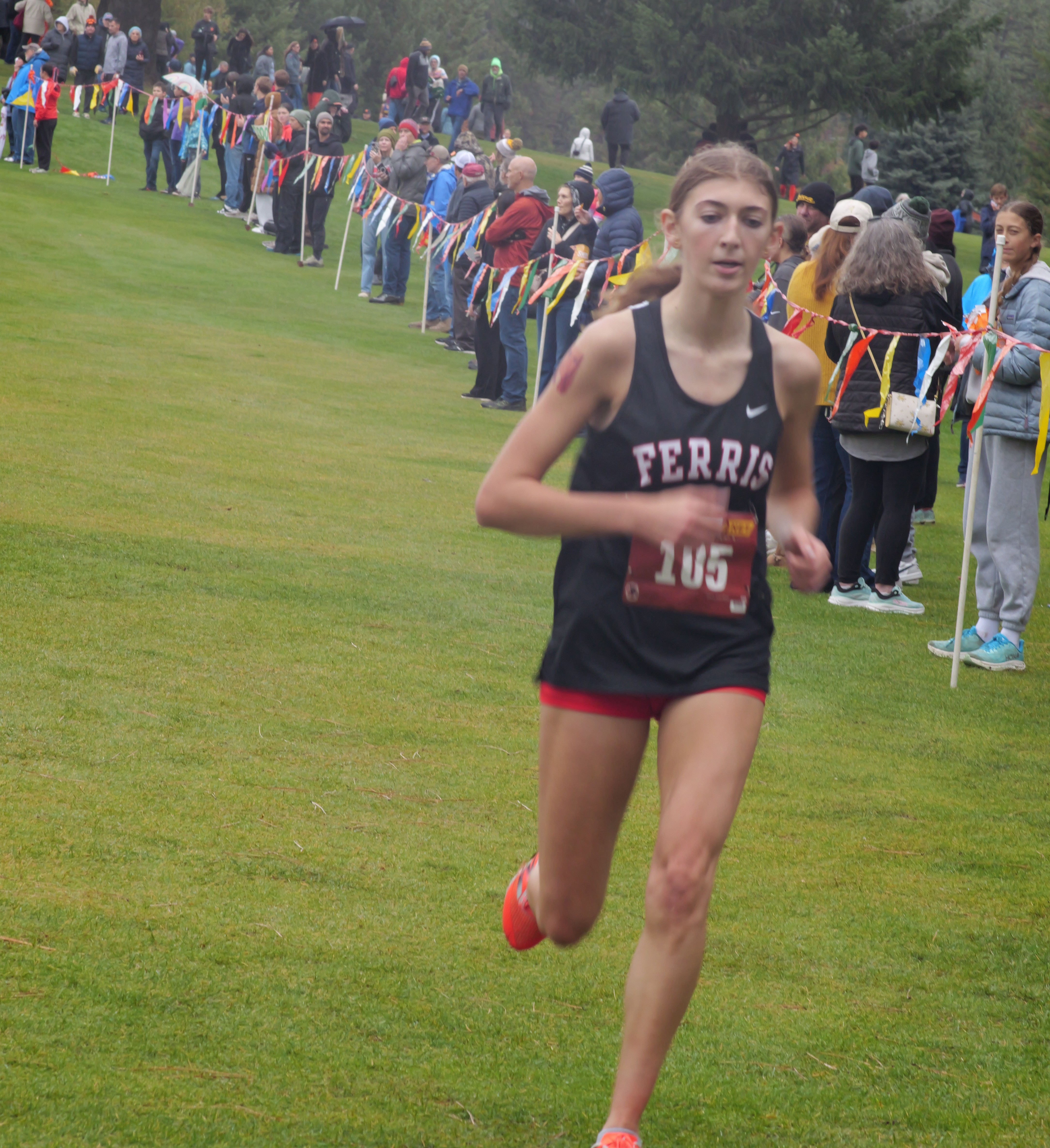 Ferric XC Runner
