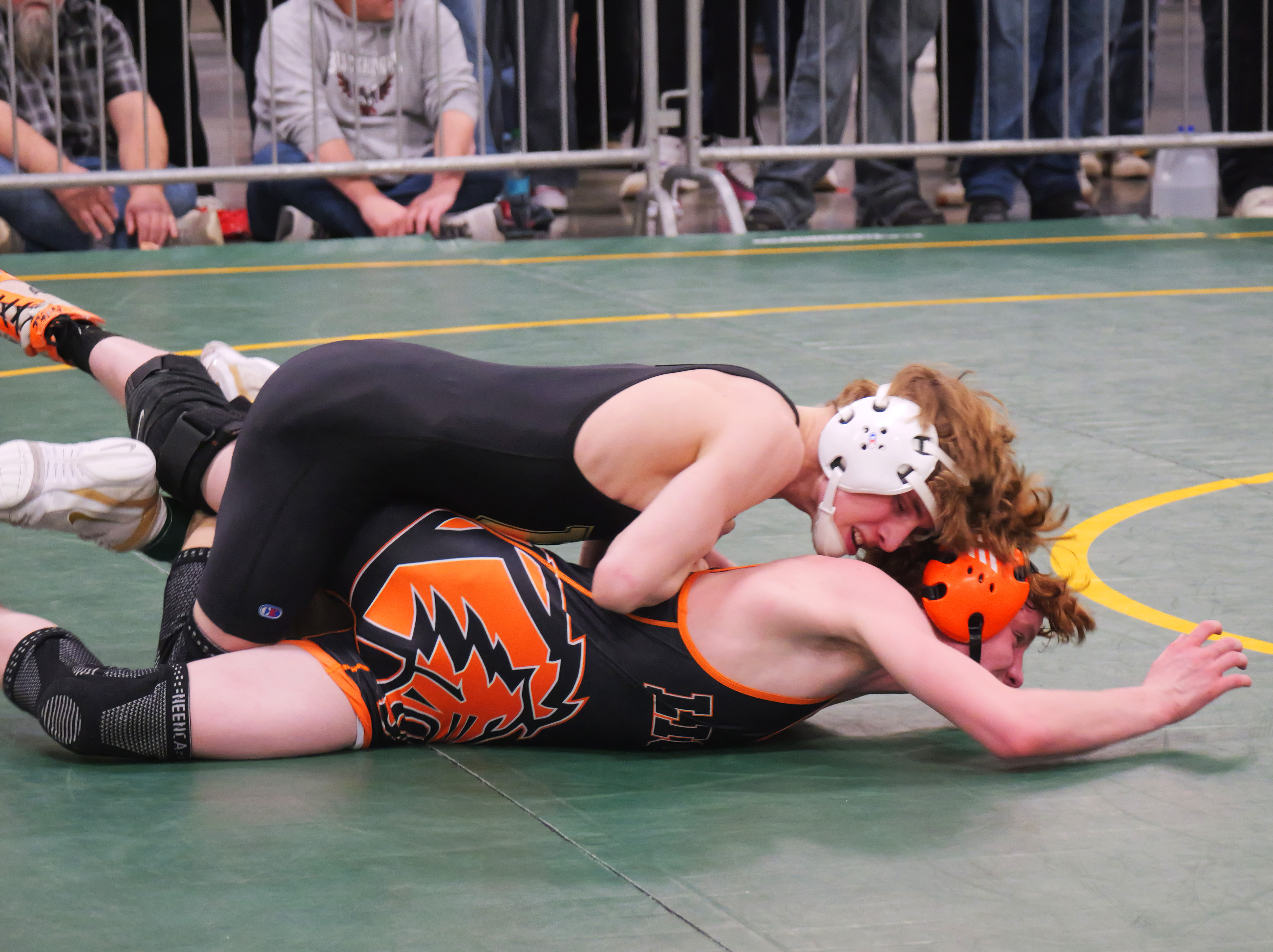 2026 Wrestling Championship Lewis & Clark