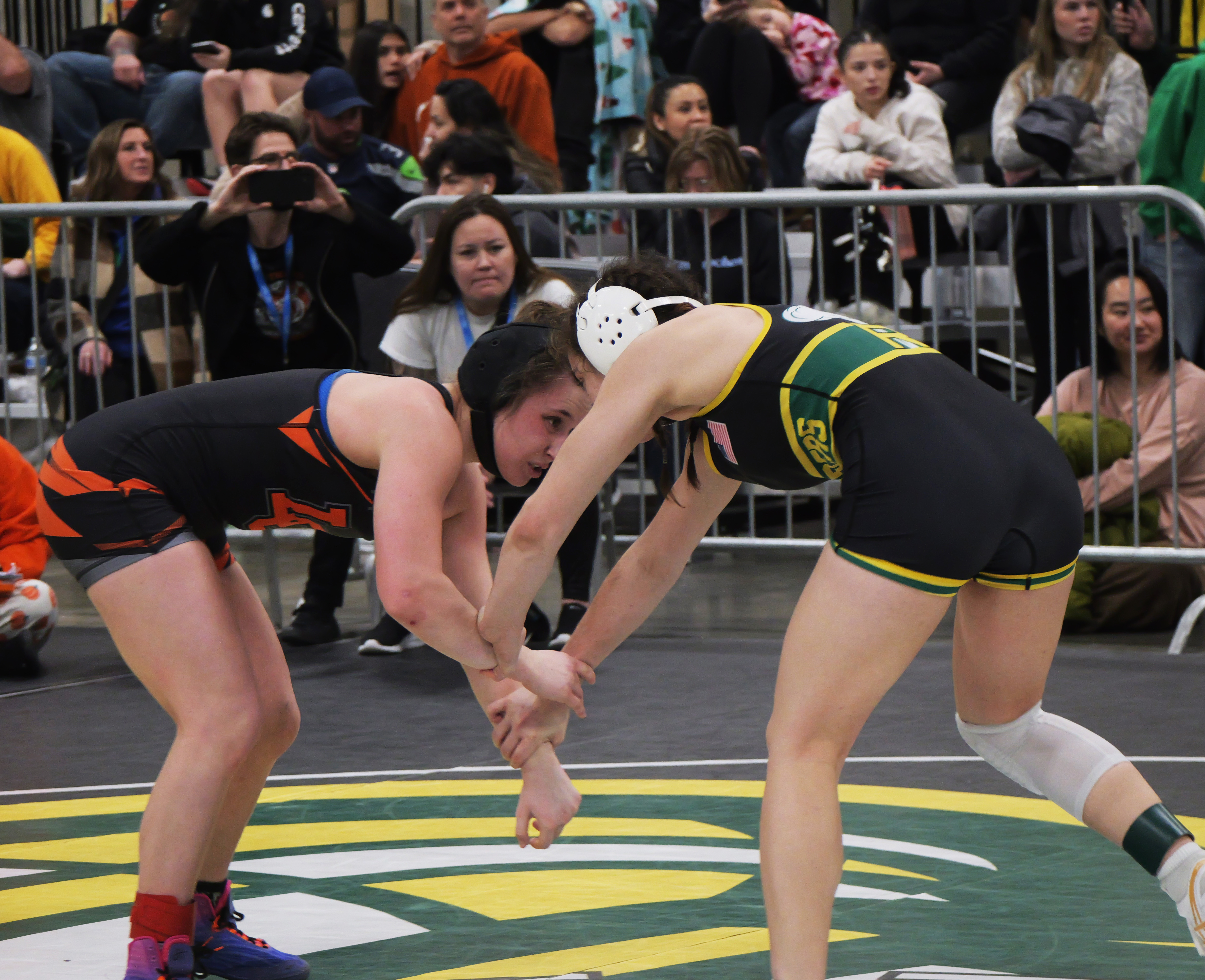 2026 Girls Wrestling Championship Lewis & Clark, Rogers