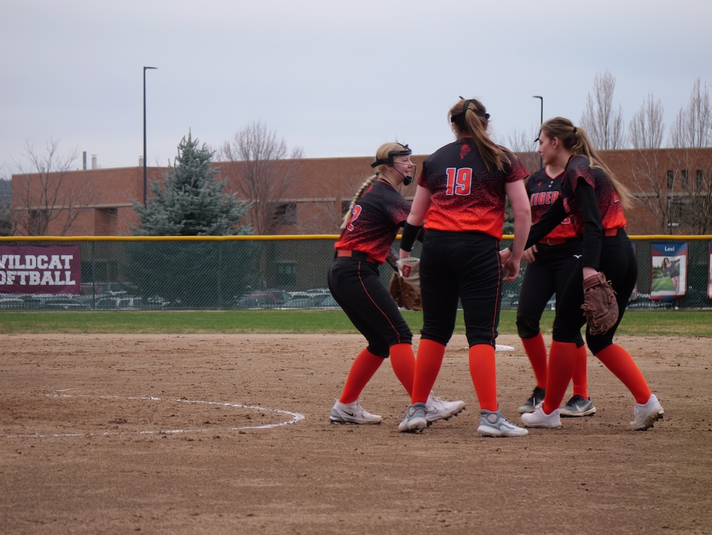 Lewis & Clark Fastpitch Softball Team