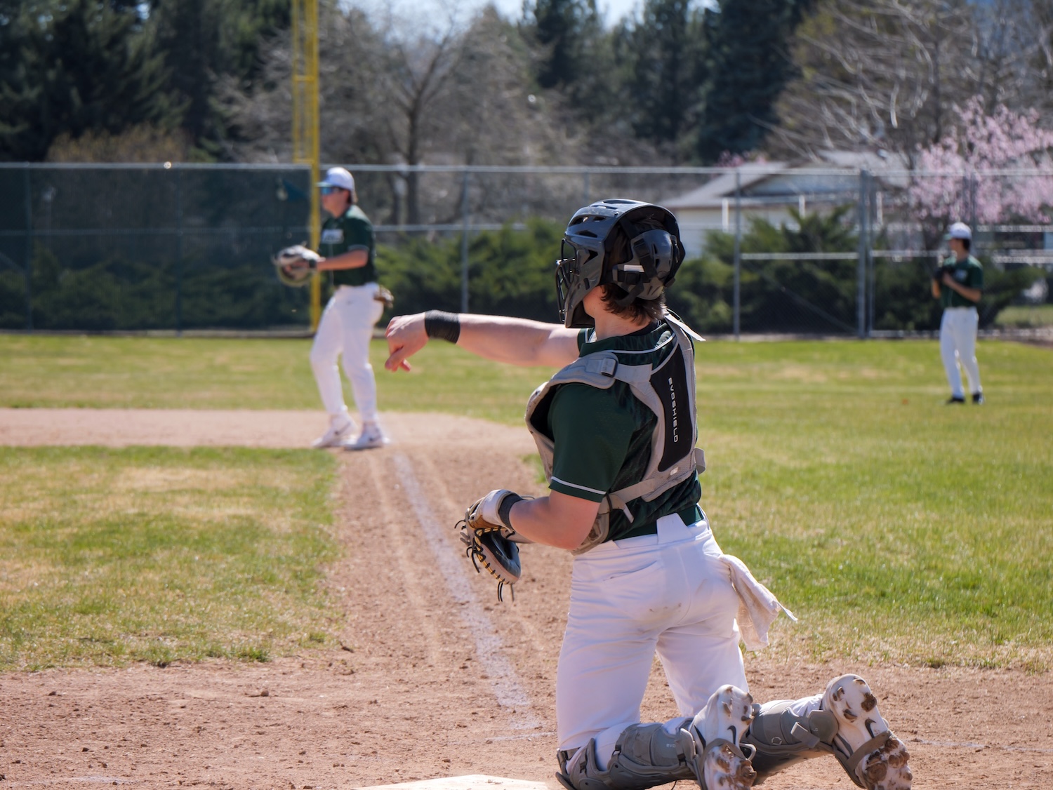 Ridgeline Catcher