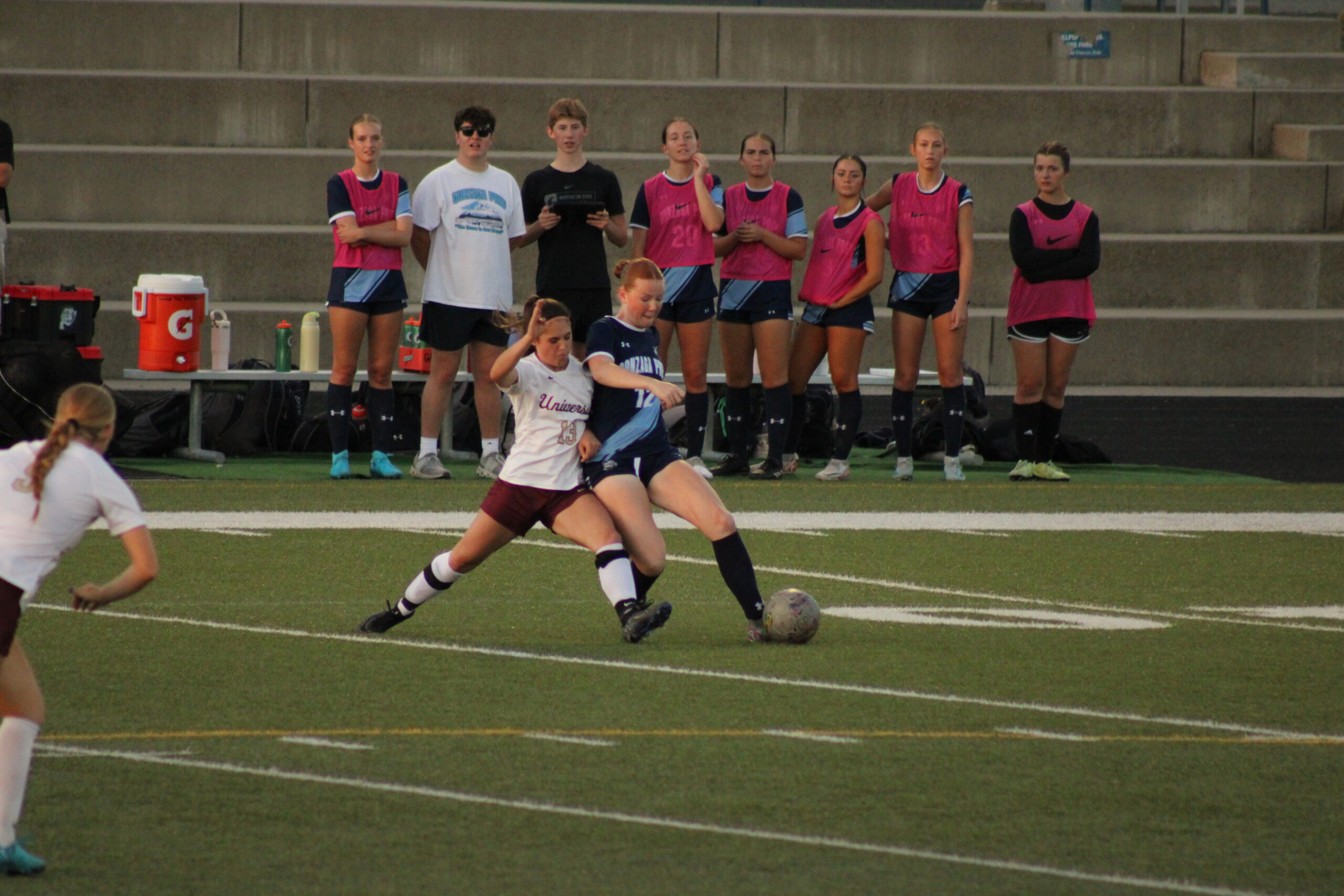 Carsyn Gildehaus photo
