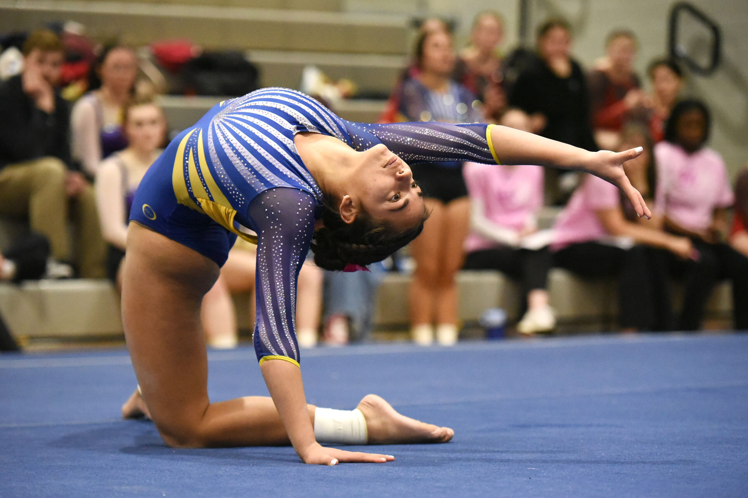 Dezlyn Lundquist photo