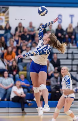 Mady Ellingson